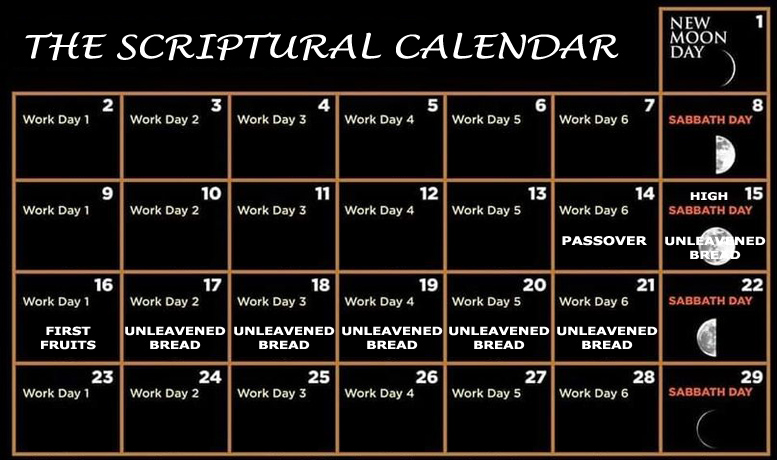 Now that we see what a Scriptural month looks like, let's apply it to the first month of the Scriptural calendar.