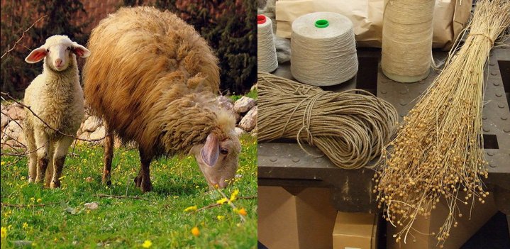 Deuteronomy 22:11 Don't Combine Wool And Linen